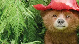 Задник к фильму "Приключения Паддингтона 3" #567619