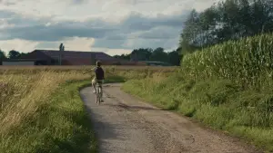 Задник к фильму "" #573834