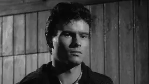 Задник к фильму "Тигровая бухта" #496751