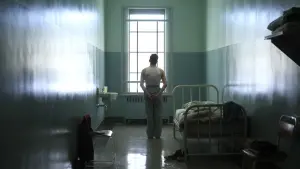 Задник к фильму "Песнь слона" #492210