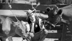 Задник к фильму "Младший брат" #768027