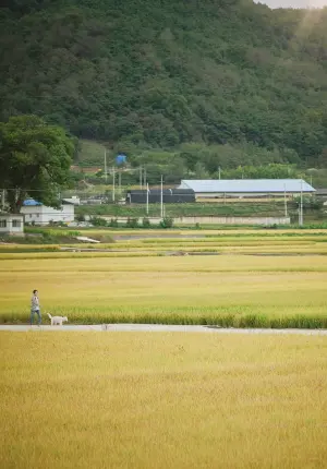 Маленький лес