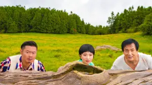 Задник к фильму "Операция «Панда»" #572752