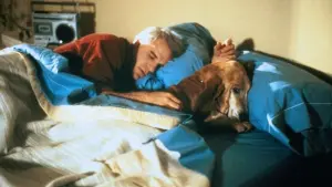 Задник к фильму "Одинокий парень" #421001