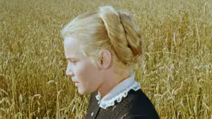 Задник к фильму "Роза Бернд" #681125