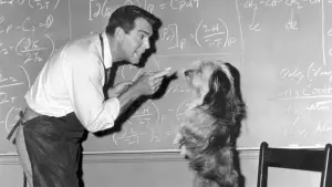 Видео к фильму Отмороженный профессор | The Absent Minded Professor Promo (BYUtv)