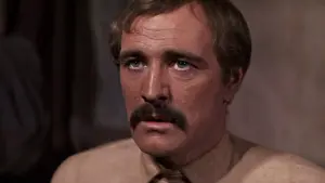 Задник к фильму "Молли Магуайерс" #435032