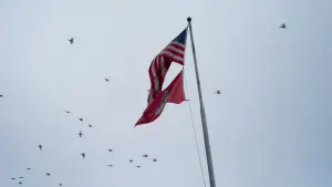 Видео к фильму West of Memphis | West Of Memphis - Trailer