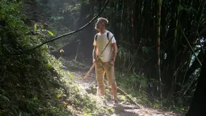 Задник к фильму "Джунгли. Райский переполох" #387673