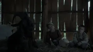 Задник к фильму "Ведьма" #600186