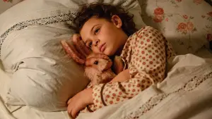 Задник к фильму "Как Гитлер украл розового кролика" #407699