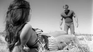 Задник к фильму "Быстрая Кошечка! Убей, Убей!" #467254