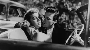 Задник к фильму "Пэйтон Плейс" #452921