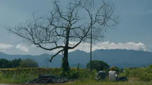 Задник к фильму "" #197029