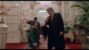 Задник к фильму "Один дома 2: Затерянный в Нью-Йорке" #567396