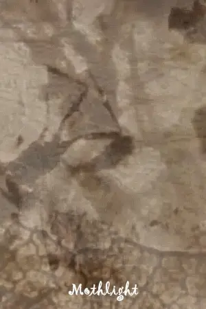 Постер к фильму "" #703608