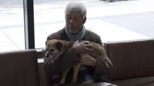 Задник к фильму "Сама жизнь" #388062