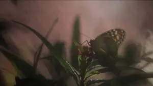 Задник к фильму "Май декабрь" #189682