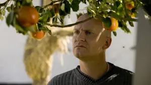 Задник к фильму "Адамовы яблоки" #214143