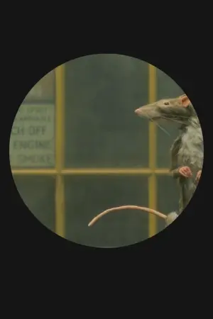 Постер к фильму "Крысолов" #344474