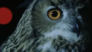 Задник к фильму "Контроль" #446190