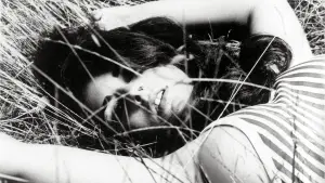 Задник к фильму "Мегера" #596322