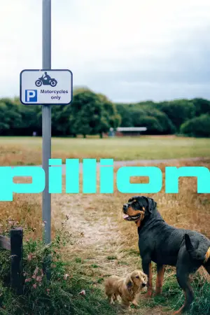 Постер к фильму "Седло" #516101