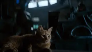 Задник к фильму "Чужой" #548882