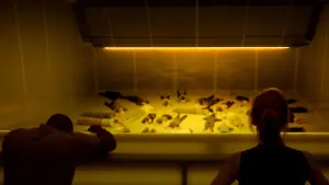 Задник к фильму "Аниара: Космическая обитель" #307840