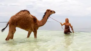 Задник к фильму "Тропы" #253931