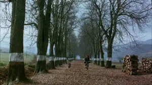 Задник к фильму "Юг" #535731