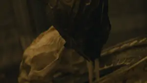 Задник к фильму "Хищник: Планета смерти" #507813