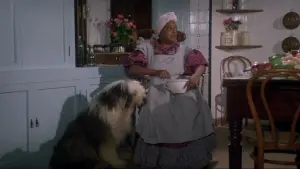 Задник к фильму "Укрощение строптивого" #238039