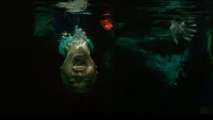 Задник к фильму "Синяя бездна 2" #336738