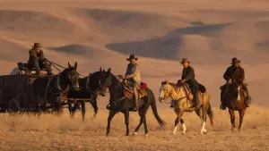 Задник к фильму "В поисках зверя" #325020