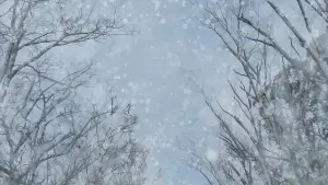 Задник к фильму "Детектив Конан: Воспоминания одноглазого" #576921