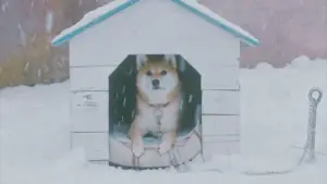 Задник к фильму "Моё солнышко" #539896