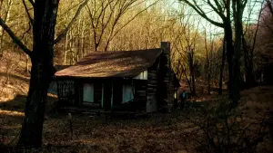 Задник к фильму "Зловещие мертвецы" #225469