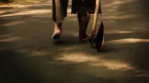 Никто сегодня не спит в лесу