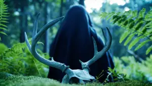 Задник к фильму "Мать мух" #551127