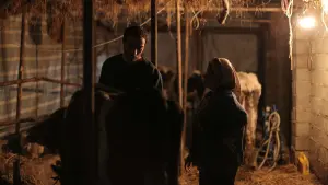 Задник к фильму "" #368488