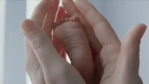 Задник к фильму "Древо жизни" #266200