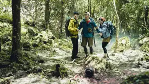 Задник к фильму "" #636480