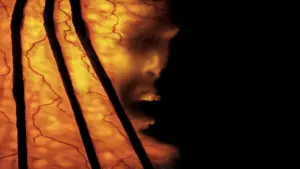 Задник к фильму "Джиперс Криперс 2" #302713