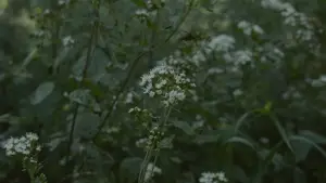 Задник к фильму "" #539086