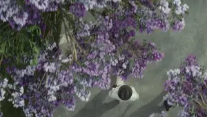 Задник к фильму "" #584225