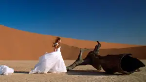 Задник к фильму "Клетка" #710644