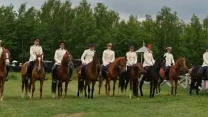 Задник к фильму "Анна Каренина. История Вронского" #482666