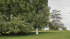 Задник к фильму "Эмма." #693268