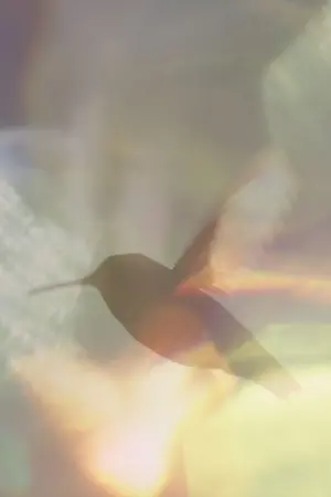 Постер к фильму "" #198088